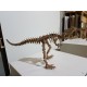 Tiranossauro T-rex 3d