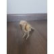 Miniatura Passarinho 3d